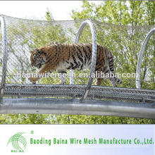 Alibaba China Venda Alta qualidade e preço baixo Zoo Netting / cerca de corda de aço